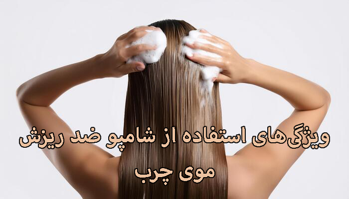 ویژگیهای استفاده از شامپو ضد ریزش موی چرب ویژگیهای استفاده از شامپو ضد ریزش موی چرب
