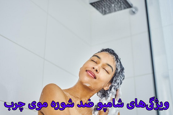 ویژگیهای شامپو ضد شوره موی چرب ویژگیهای شامپو ضد شوره موی چرب