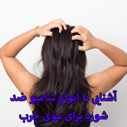 آشنایی با انواع شامپو ضد شوره برای موی چرب آشنایی با انواع شامپو ضد شوره برای موی چرب