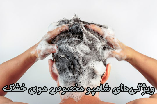ویژگیهای شامپو مخصوص موی خشک ویژگیهای شامپو مخصوص موی خشک
