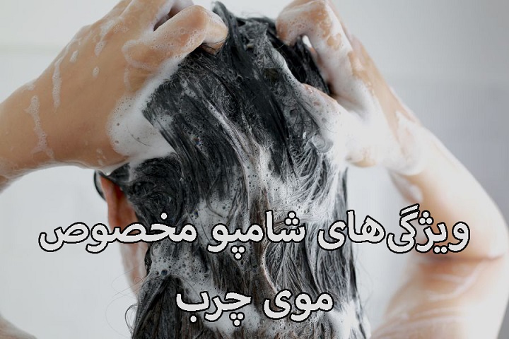 ویژگیهای شامپو مخصوص موی چرب ویژگیهای شامپو مخصوص موی چرب